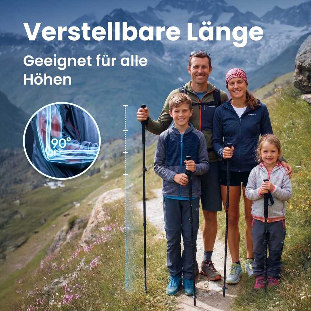 WellaBack image